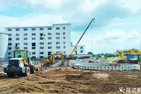 敦化20万吨非转基因大豆全产业链加工项目建设有序推进图片