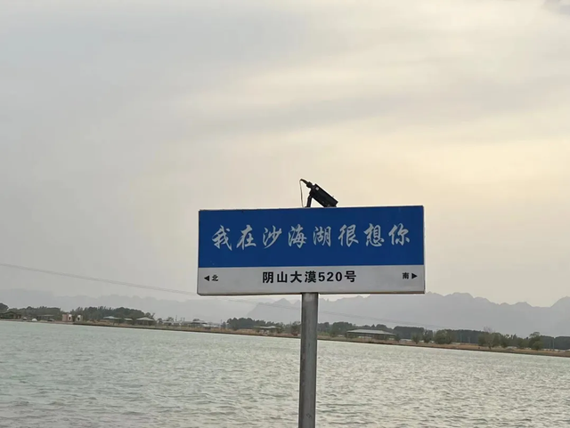 礼敬师恩！巴彦淖尔这些景区免门票～