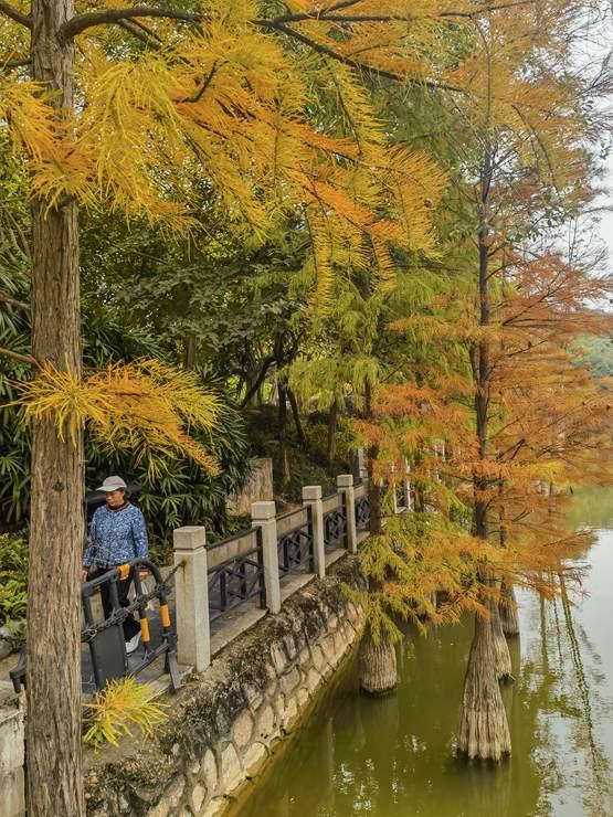 南宁市石门森林公园换上限定 “彩装”