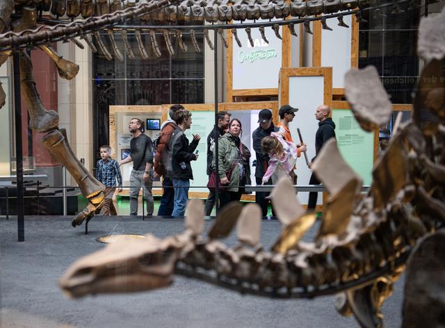 柏林：博物馆里的科学“校园”