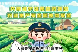 怎样进行植物调运检疫？维护海南农业生产安全和生物安全，它与我们息息相关图片
