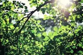 老子独创的15大成语，洞见《道德经》智慧精髓！图片