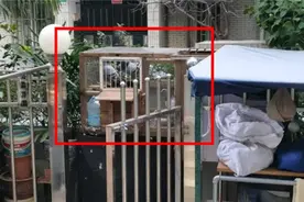 【文明创建】私建鸽鹏不可取 小区整洁共守护图片