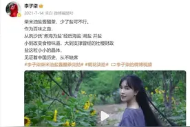 “李子柒回归”连更视频，知情人士透露停更内情图片