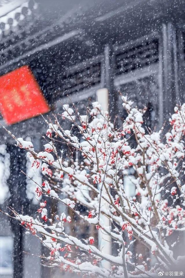 金陵飞雪讯，静待秦淮妆