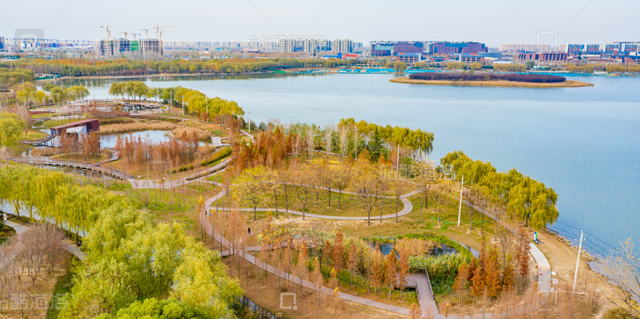 错过再等一年！郑州10大银杏观赏地推荐！