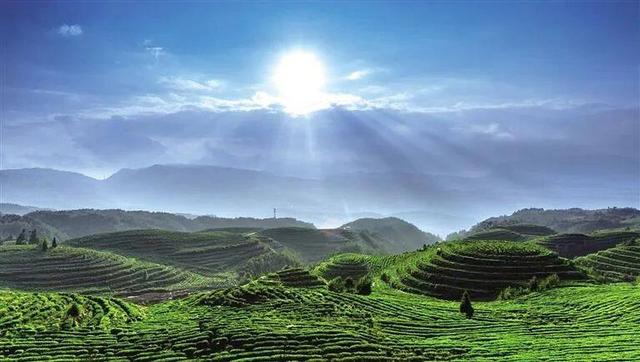 上半年，康养水城交出“文旅答卷”