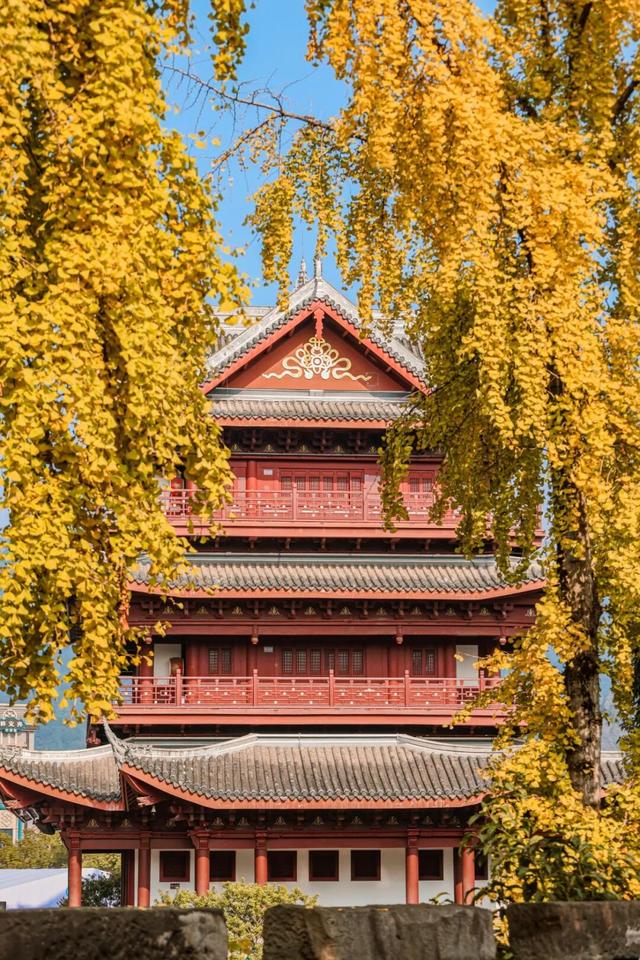 宜宾，含“金”量超高！