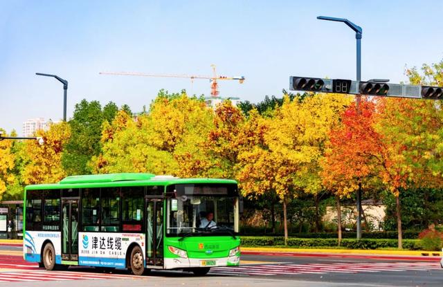 城市建在绿意盎然的花园里