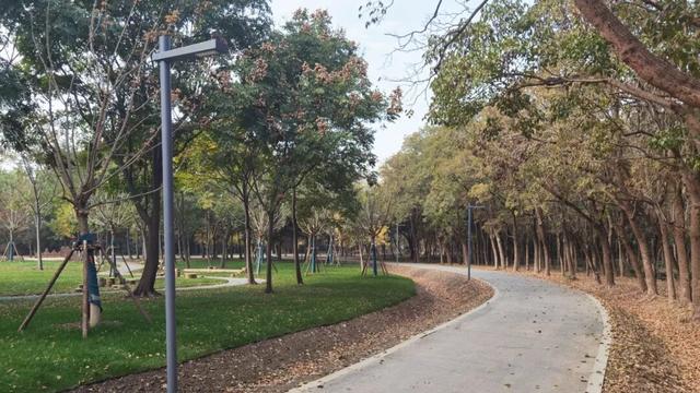 花海、儿童乐园、骑行步道……嘉定将新添一座公园，开放时间↗