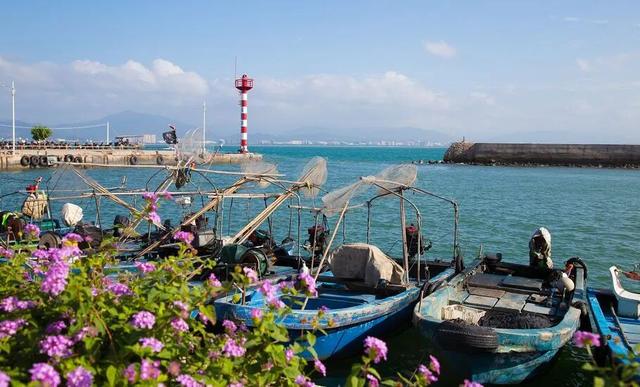 走进西岛：蒙曼直播探秘珊瑚老屋，重温女民兵峥嵘岁月