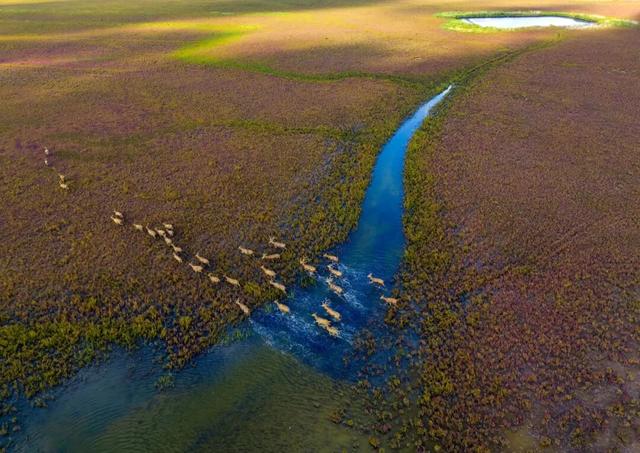 这些地方，把“吃”写成了姓名