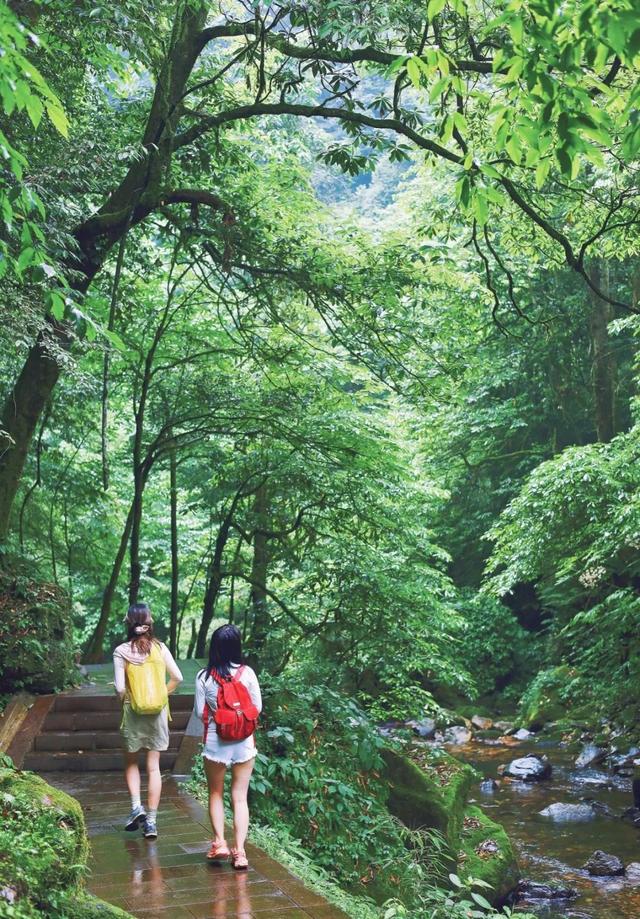 免门票告急！是谁还没去过一趟瓦屋山？