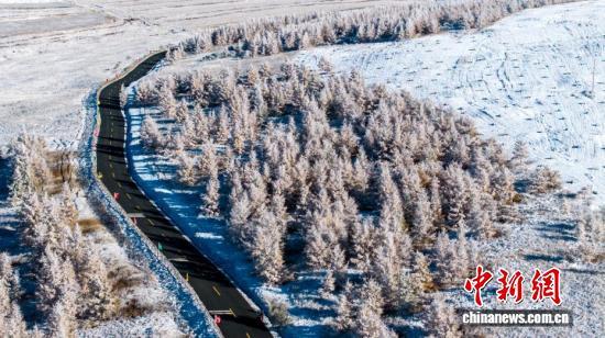 一半金黄一半雪白，秋日雾凇上线！