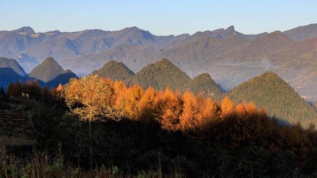 诗画冬日鹤峰：峰披轻纱  林染五彩