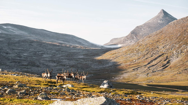 全网最快！请收下这份《花少7》同款挪威攻略