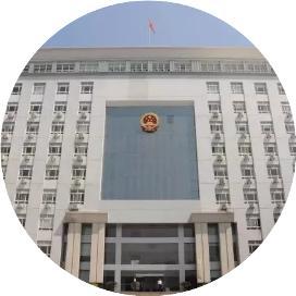 犬只追赶致老人摔倒 狗主人被判担责