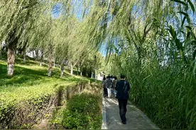 自行车博物馆、鲁能生态旅游区、中国红木城……记者探访河北廊坊文旅新场景、新业态图片