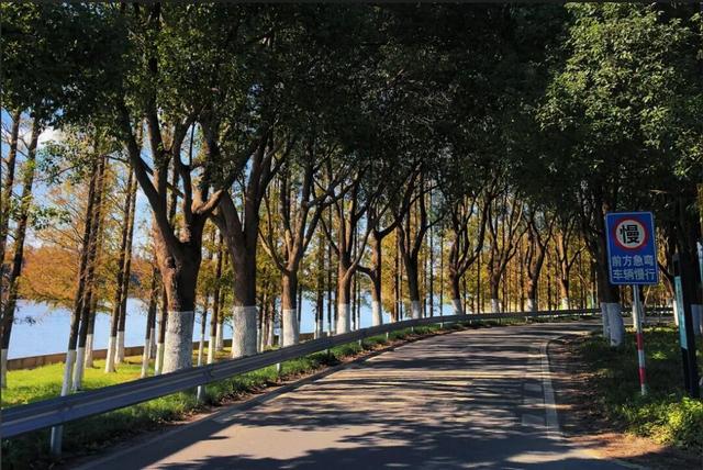 请继续骑行，体验火遍“骑友圈”的宝藏路线~