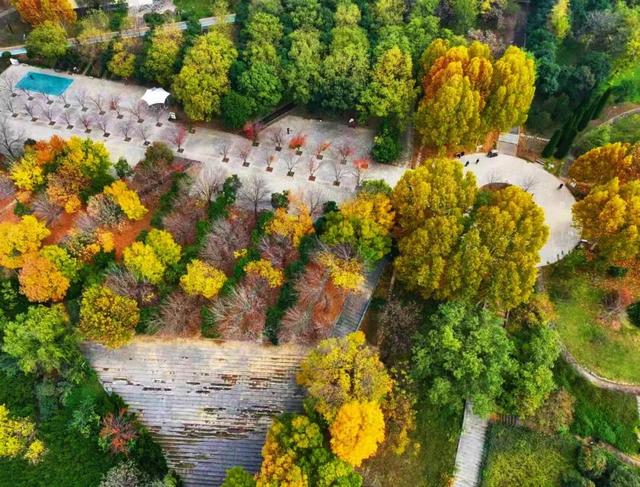 五彩斑斓！巩义市区这个宝藏打卡地迎来颜值巅峰→