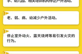 阵风可达10级！北京市应急办发布大风黄色预警公众防护指引图片