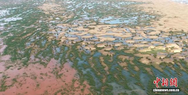 新疆阿拉尔市：湿地成越冬候鸟栖息乐园