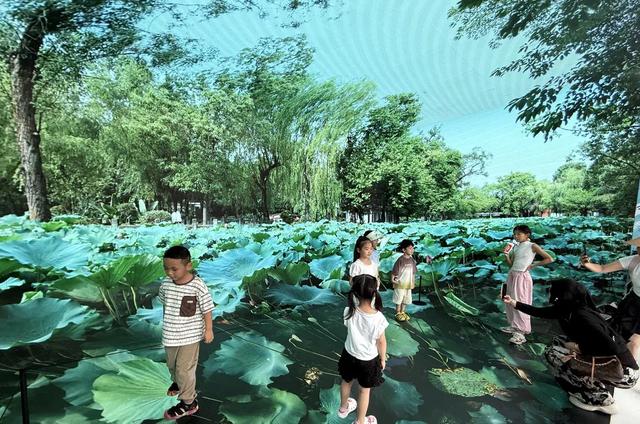 走进东郊记忆“任意门” ！大美四川尽收眼底