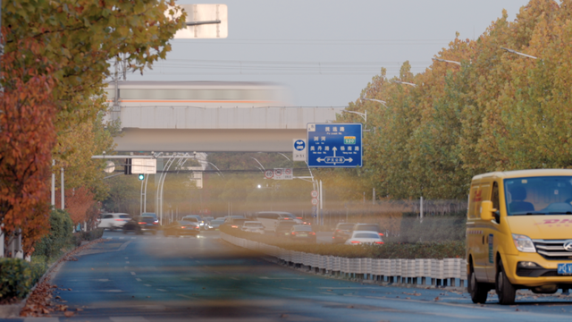 别眨眼！罗店马路秋色，一街一帧画正在限时上映