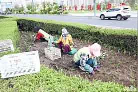 延吉：园林工人织锦绣 只待繁花开满城图片