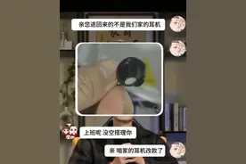 仅退款→仅补偿！商家再遭暴击？律师：“薅羊毛”切勿抱有侥幸心理图片