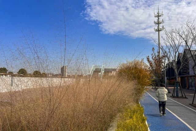 别再等！宝山这里已把秋日色阶拉满