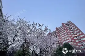 北京今明两天雨雪降温来袭 最低气温将跌至冰点以下图片