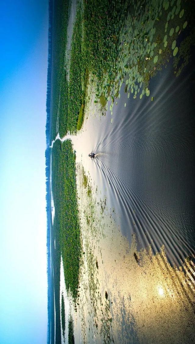 赤黄红·洪湖情 | 2025环洪湖马拉松，跑进水乡新画卷！