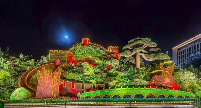 纪念抗战胜利80周年主题花坛亮相！打卡指南→