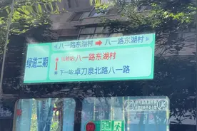 武汉“绿道三期”微循环公交今起开通，票价2元图片