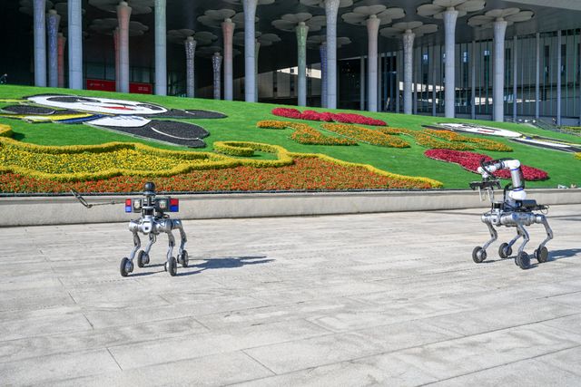 进博直击｜四叶草全面“定妆”，静待第八届进博会开幕