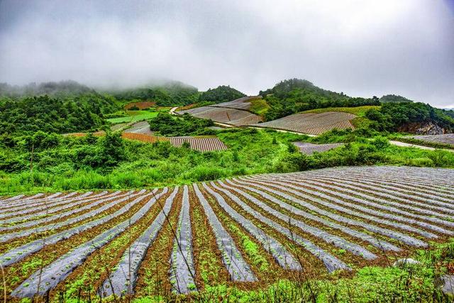 利川寒池：悬在云端的四季