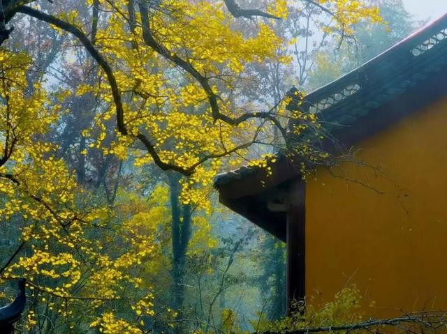 宜兴，一路斑斓！