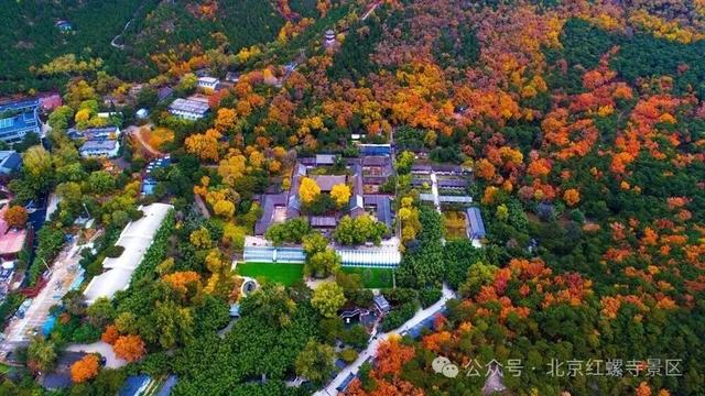 这个音乐节“永不落幕”！还免费 | 北京音乐地图