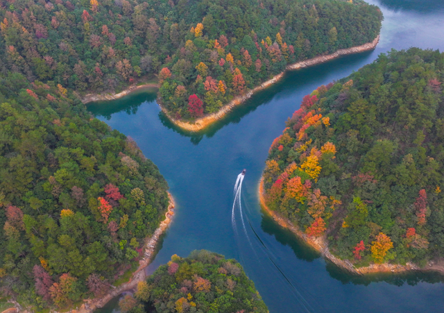 我在这里，等你→