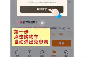 淘宝88VIP用户享受12期免息券，省钱又方便！图片