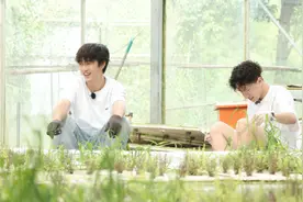 《种地吧》背后公司“十个勤天”均有任职，他们在做一种什么生意？图片