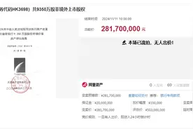 双十一“最大单”！徽商银行2.82亿元股权流拍图片