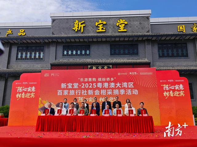 新会柑采摘季启幕！湾区文旅融合“柑”之如饴