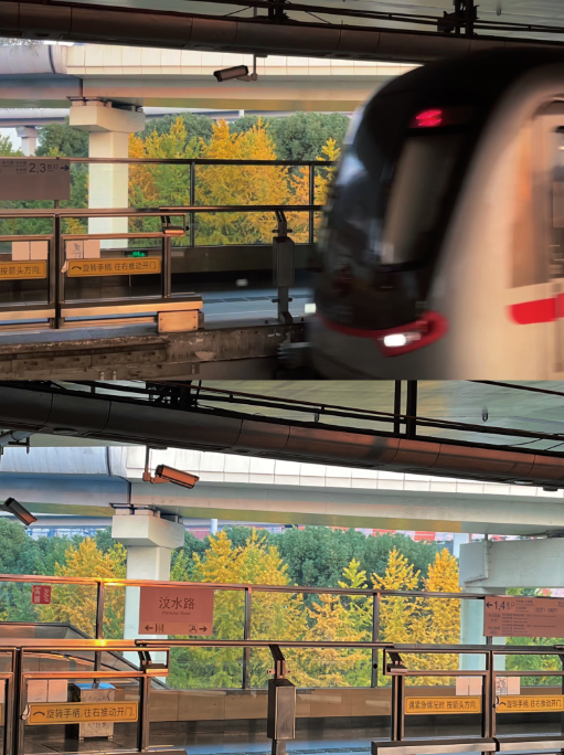 美翻了！苏河湾“红枫天桥”上线！更多金色、橙色、赭红色正在路上……来看↗