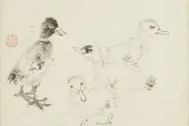 艺考改革的利与弊｜束新水：保持良好心态，稳定发挥水平图片