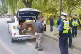 【24小时警事】 超员5人 “驶”不得坐不得！图片