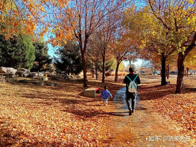 如何描述“北京的秋”？这是一期有温度的推送……