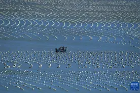 福建：耕海牧渔 建设“海上粮仓”图片
