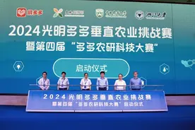 无土无日光，集装箱里种生菜！山东人种菜已是“Next Level”图片